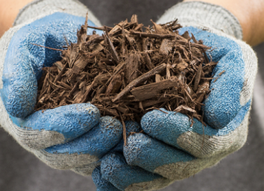 パスヘッド Roswell Project レコード ブラウンスリーブ Scotts Nature Scapes Color Enhanced Mulch, Deep Forest Brown